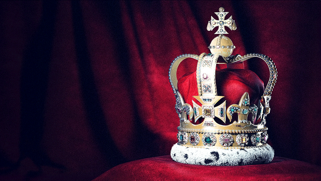 Royal canin puppy shih tzu